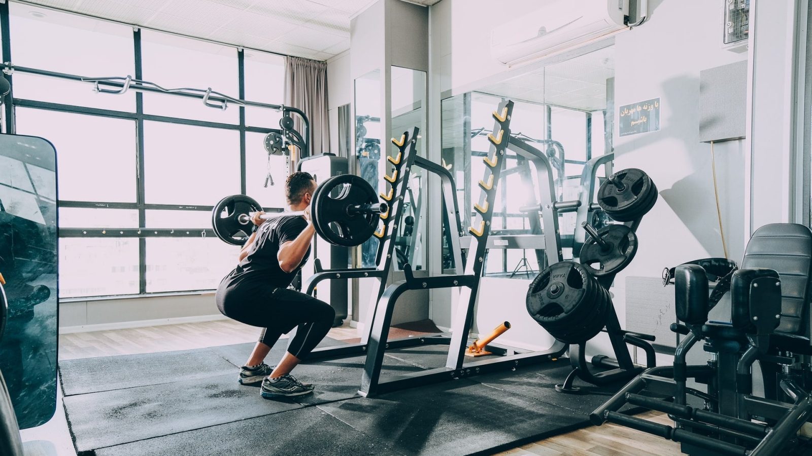 Musculation